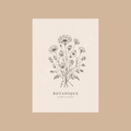 Botanique Wildflower Print
