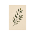 Botanical Branch